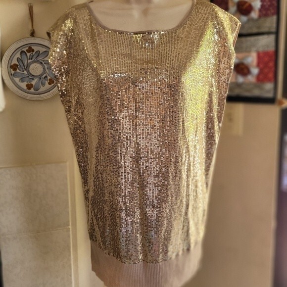 Caché Champagne/Nude Sequins Boat Neck Blouse Size Small - Picture 2 of 7